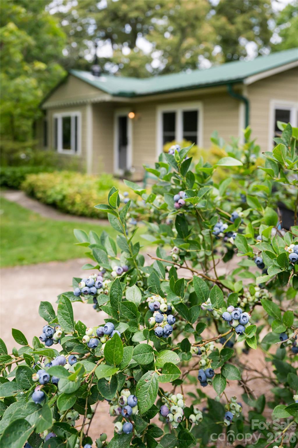 75 Cisco Road — Asheville