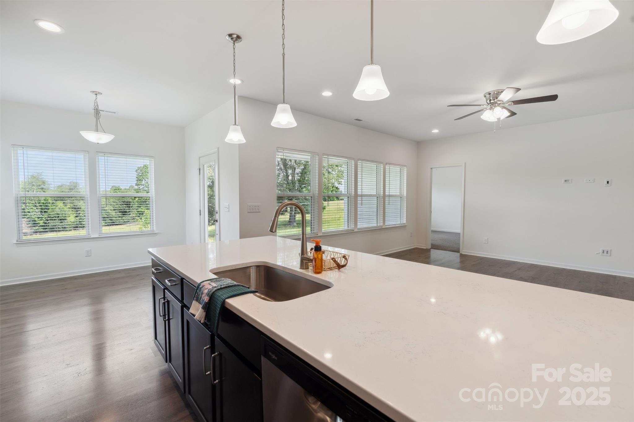 117 Carmine Court — Troutman