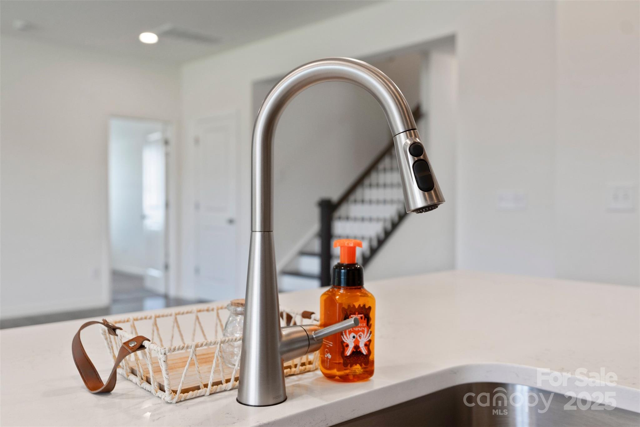 117 Carmine Court — Troutman