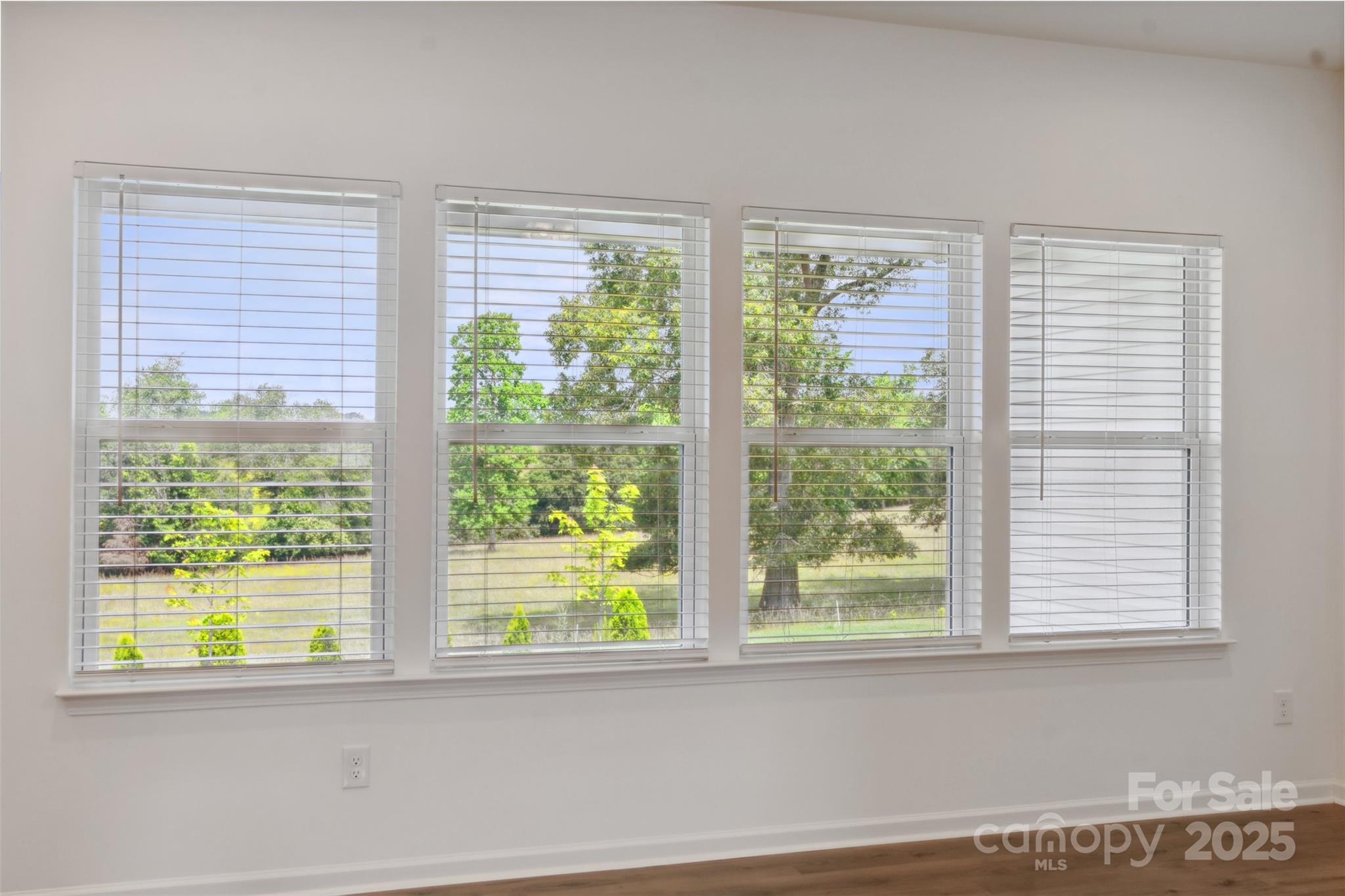 117 Carmine Court — Troutman