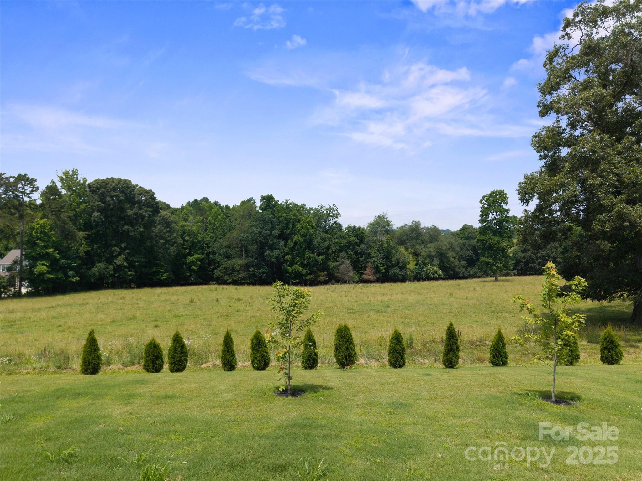 117 Carmine Court — Troutman
