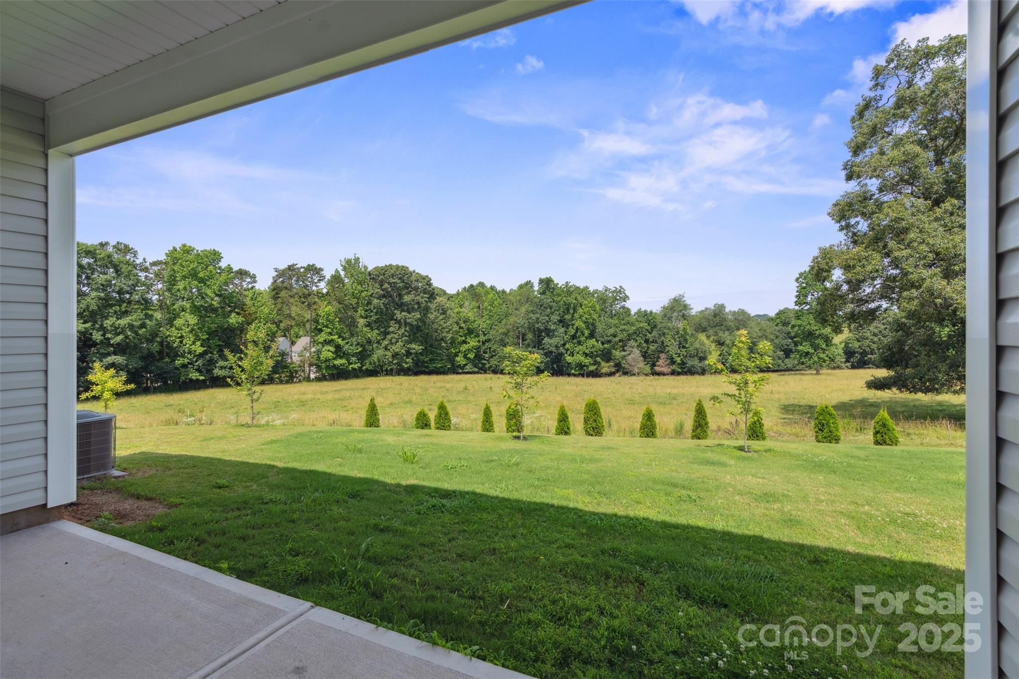117 Carmine Court — Troutman