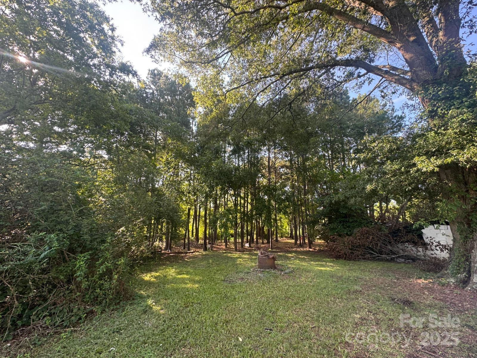 65 Maynard Avenue — Ansonville