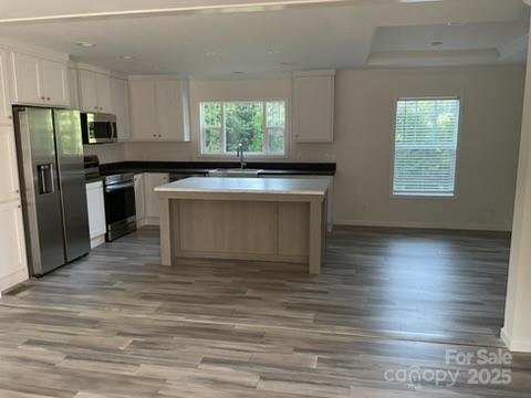 138 Zircon Drive — Statesville