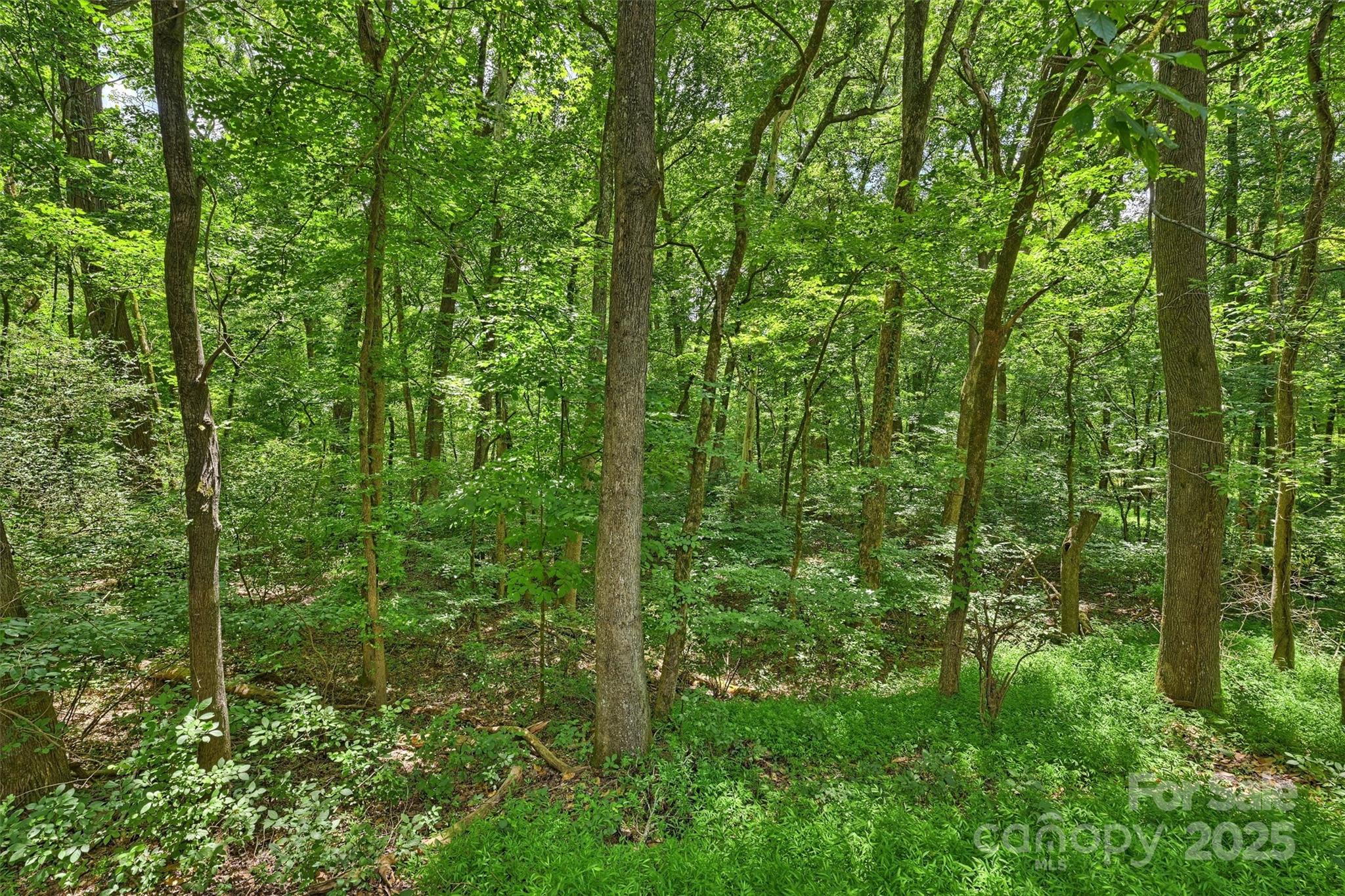 6115 Coltswood Court — Charlotte
