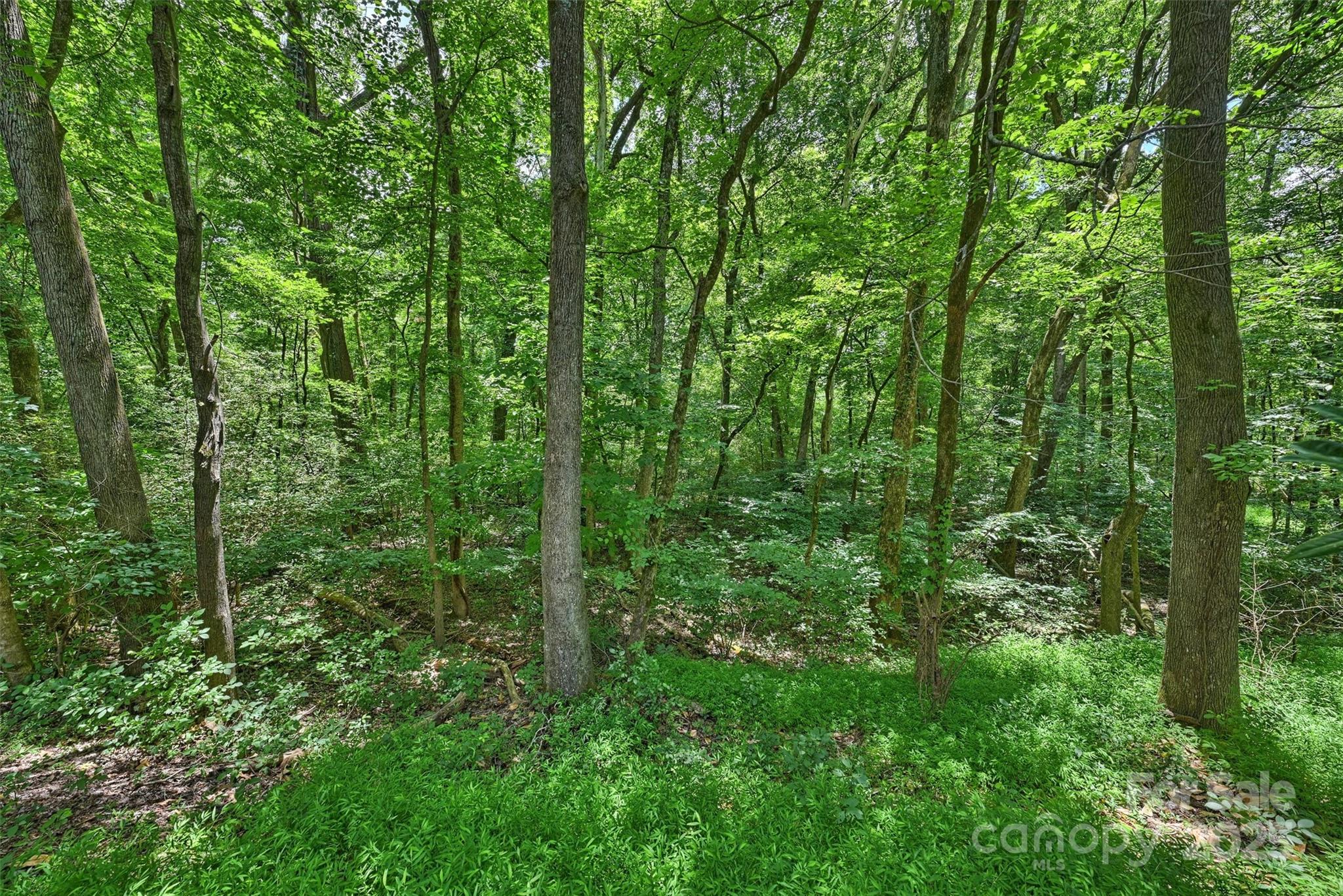 6115 Coltswood Court — Charlotte