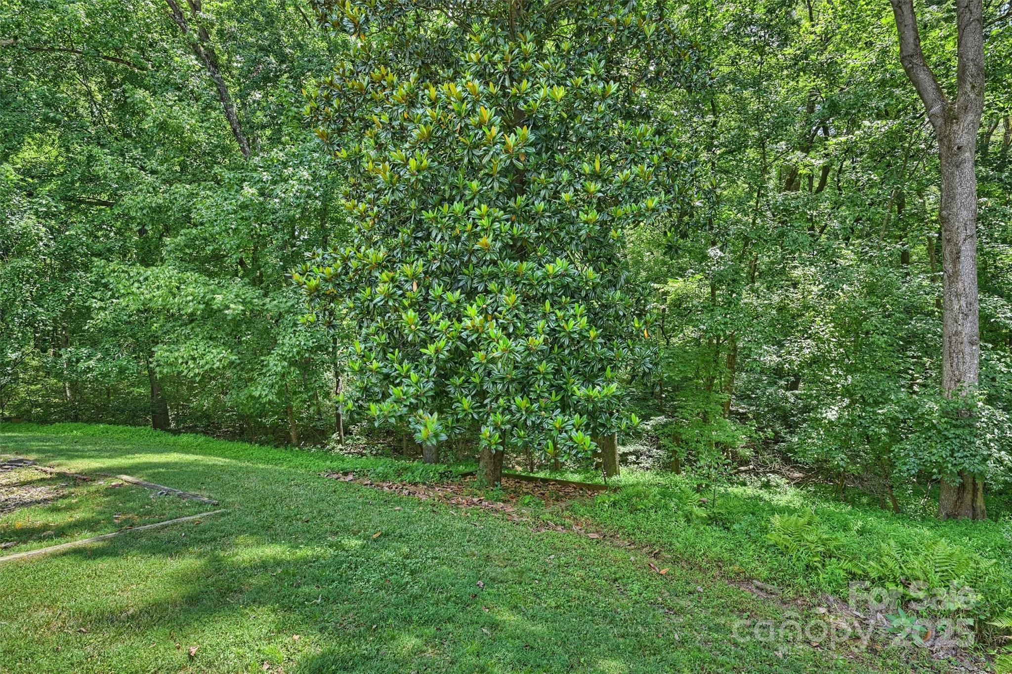 6115 Coltswood Court — Charlotte