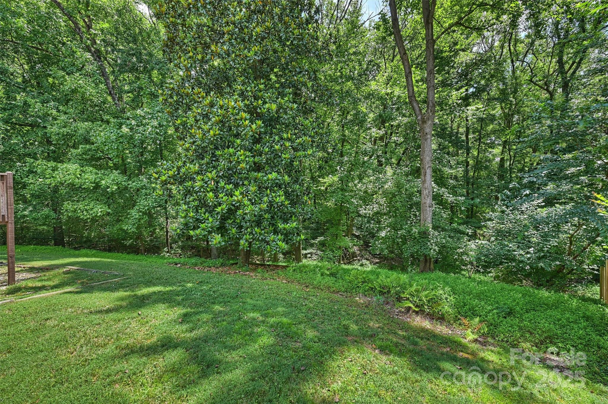6115 Coltswood Court — Charlotte