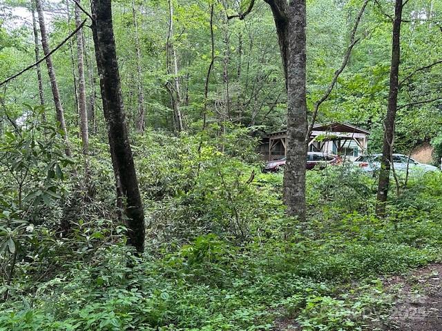 63 Apple Bee Road — Brevard