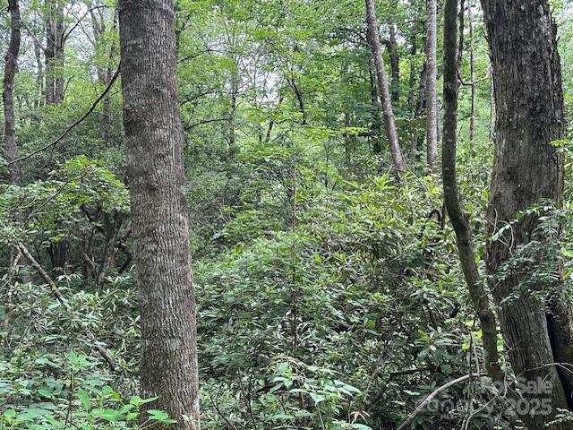 63 Apple Bee Road — Brevard