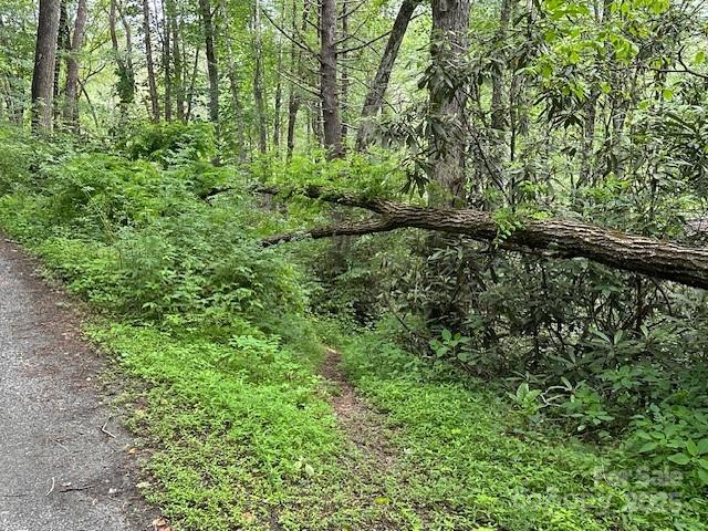 63 Apple Bee Road — Brevard