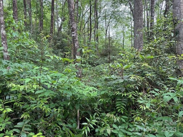 63 Apple Bee Road — Brevard