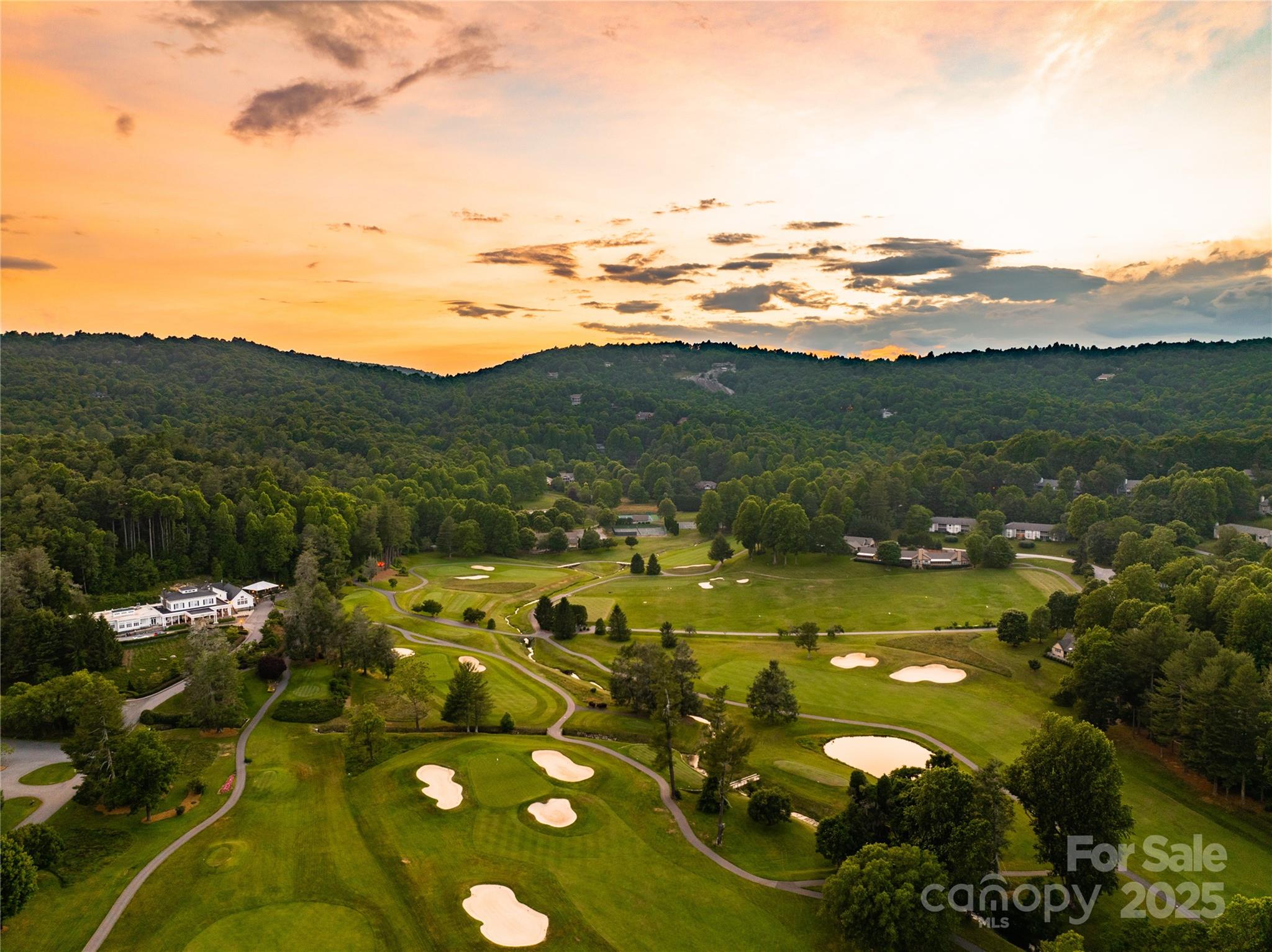 103 GOLFSIDE Drive — Flat Rock