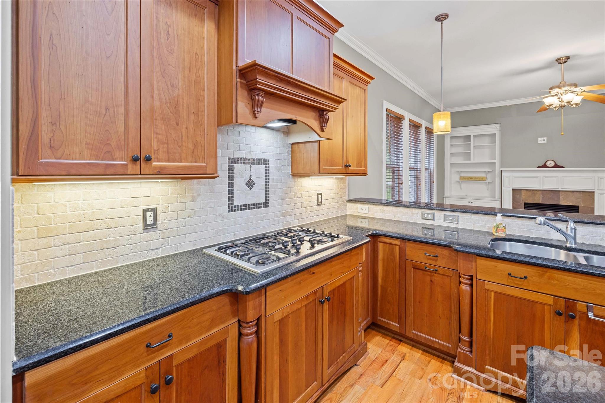 1727 Mineral Springs Road — Lake Wylie