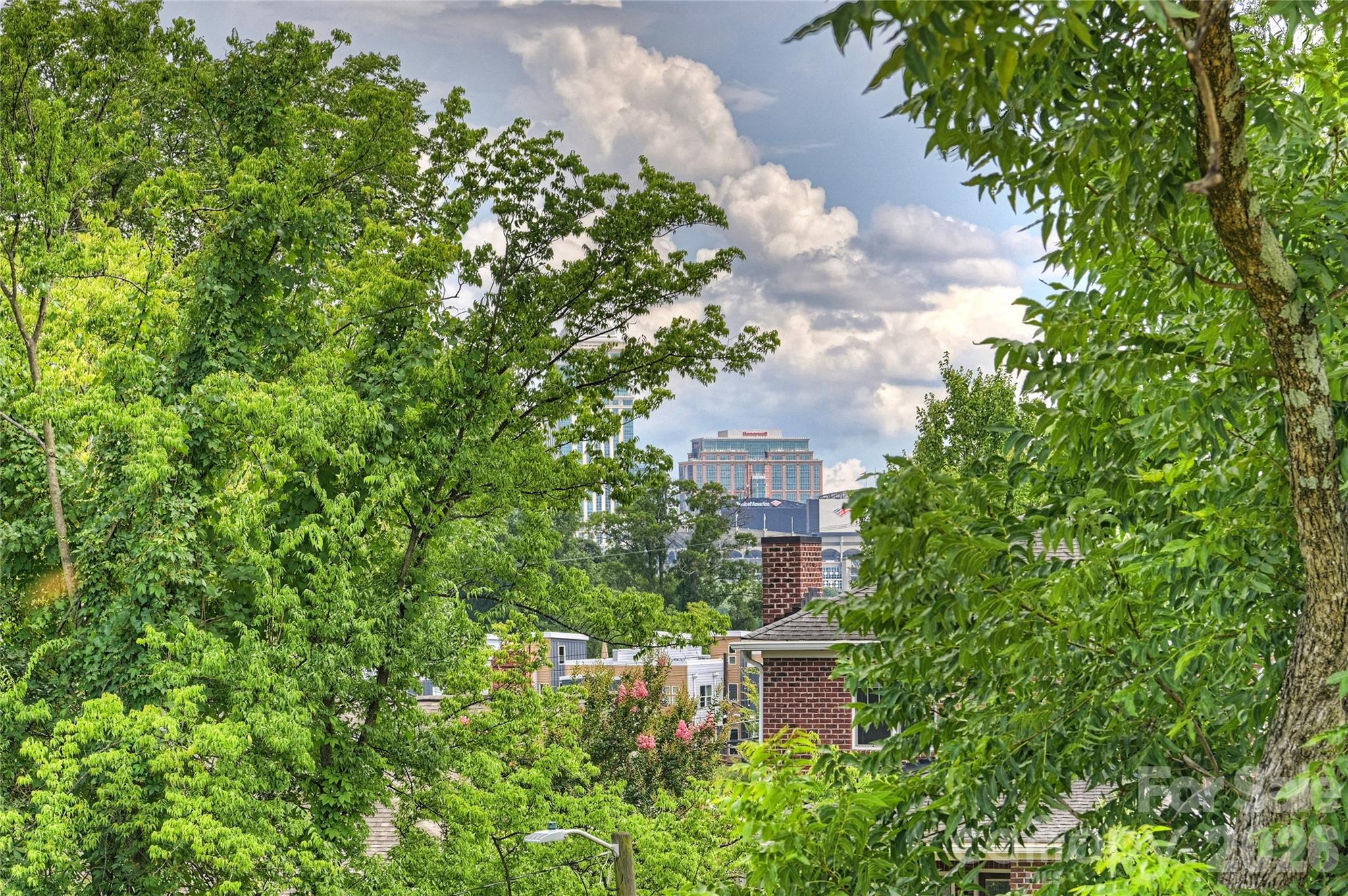 209 Coxe Avenue #A — Charlotte