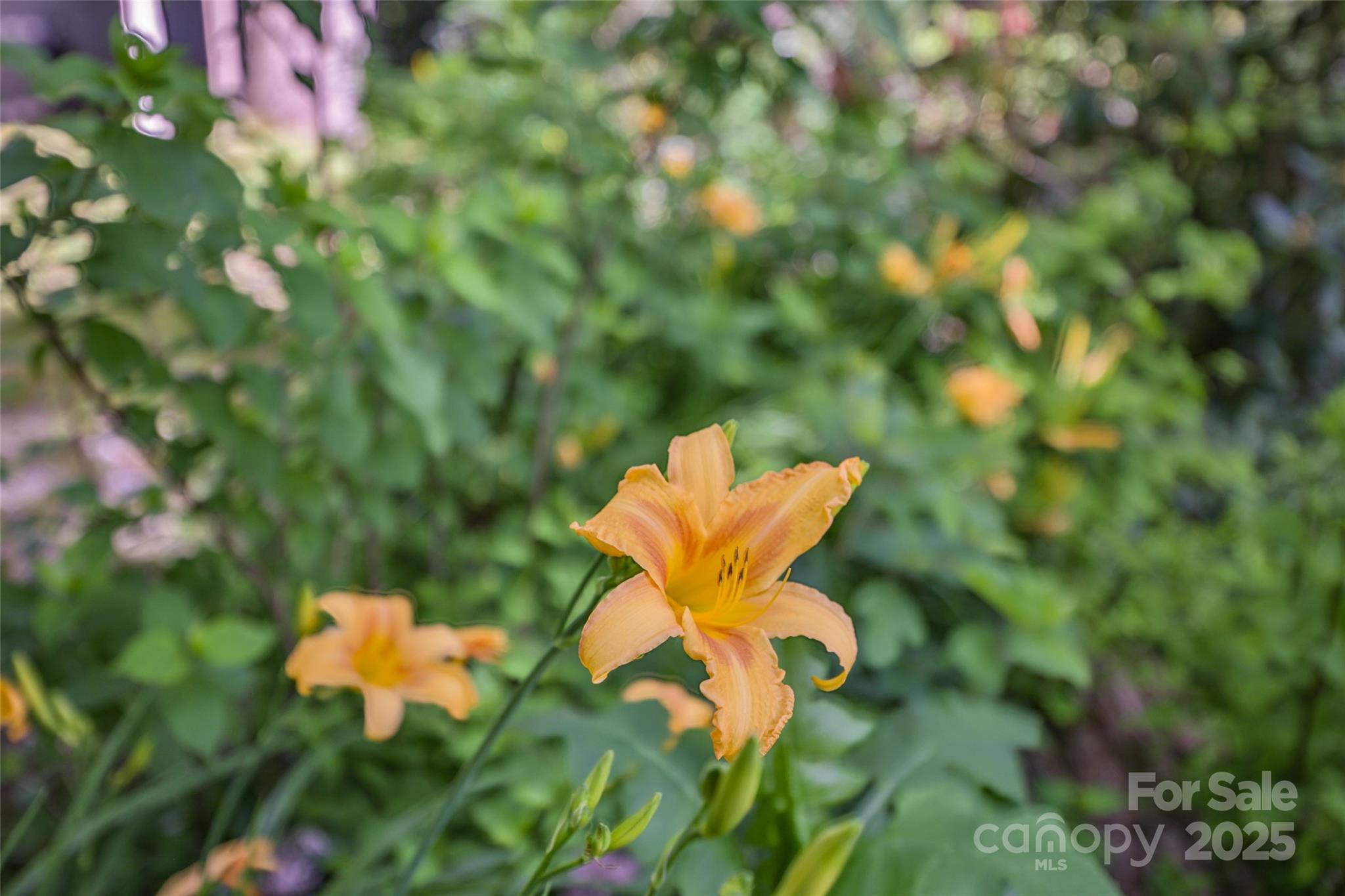 56 Faraway Drive — Cullowhee
