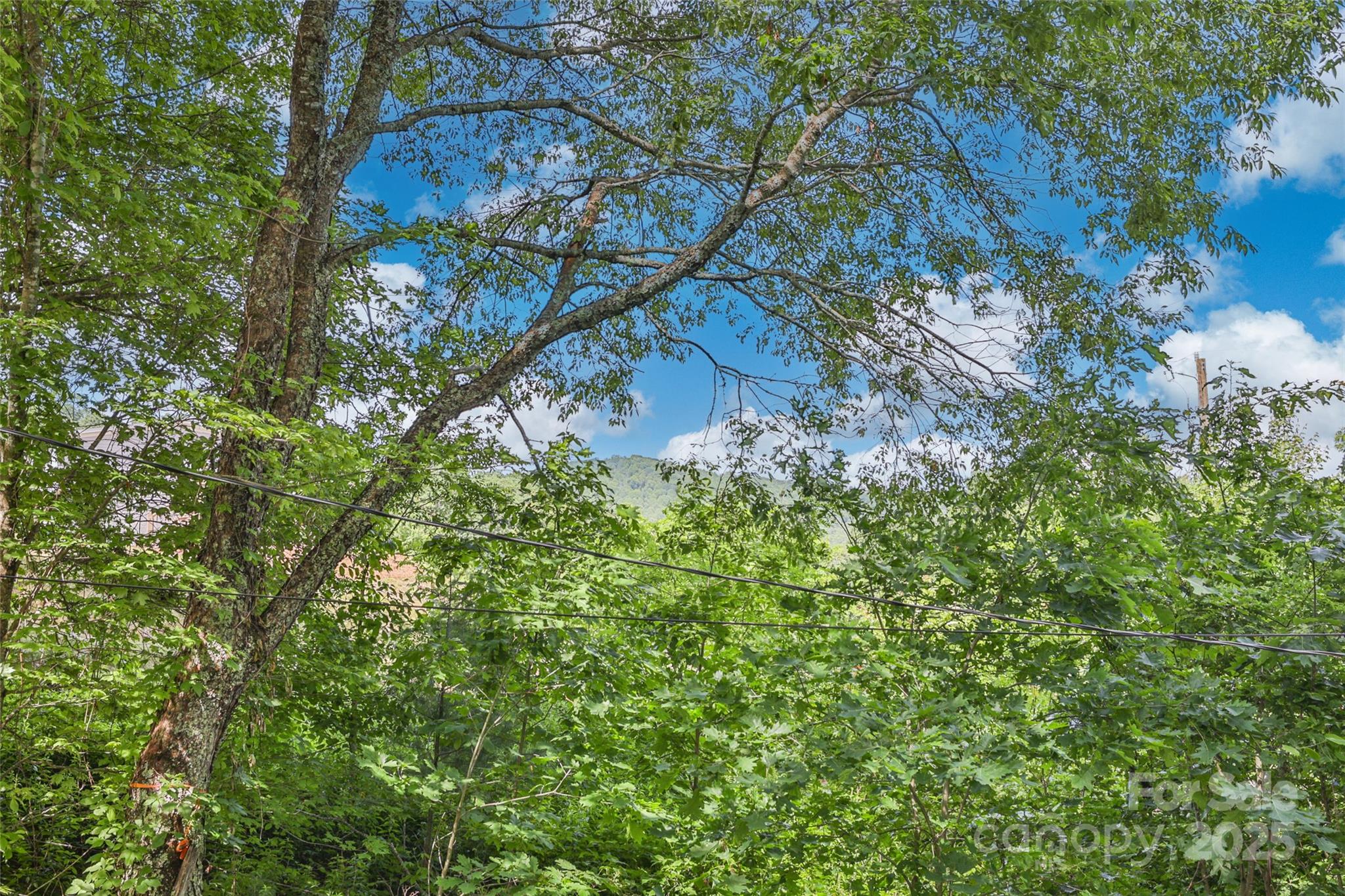 56 Faraway Drive — Cullowhee