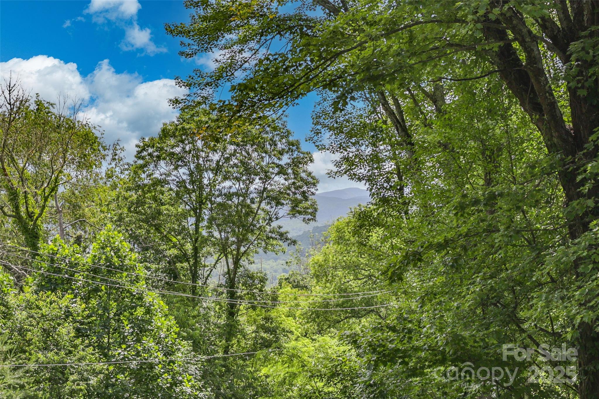 56 Faraway Drive — Cullowhee