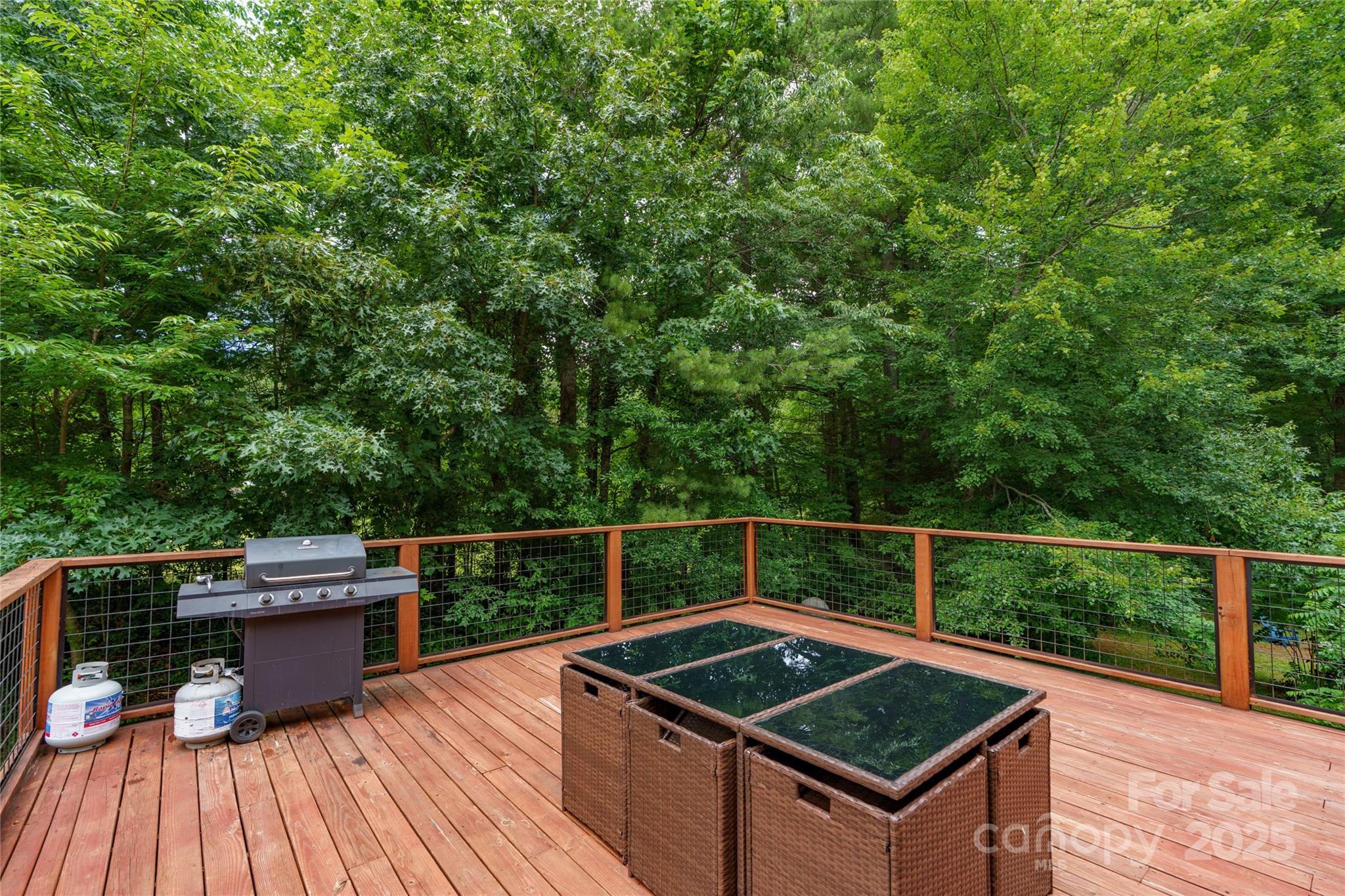 204 Terrys Gap Loop Road — Fletcher