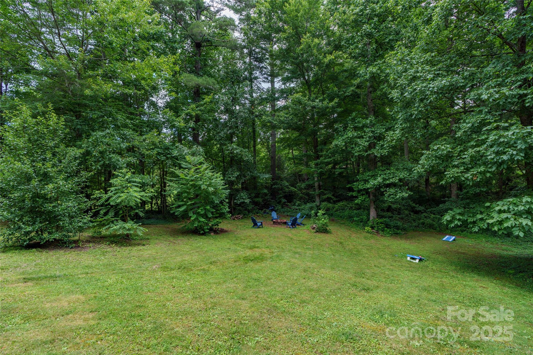 204 Terrys Gap Loop Road — Fletcher