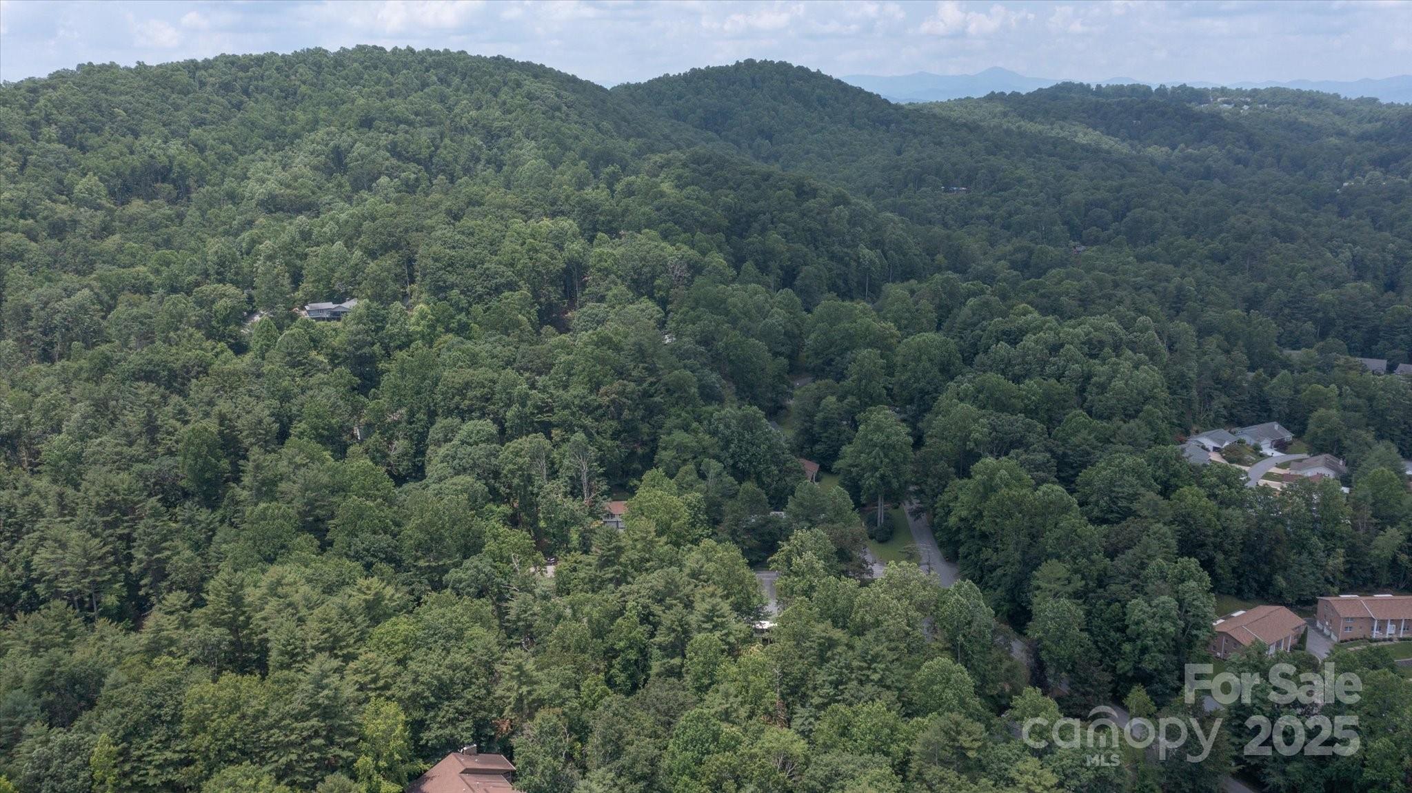 104 Britton Avenue — Hendersonville