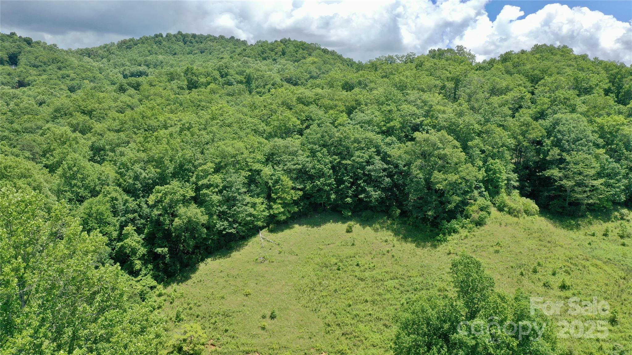 2087 Henry Road — Sylva