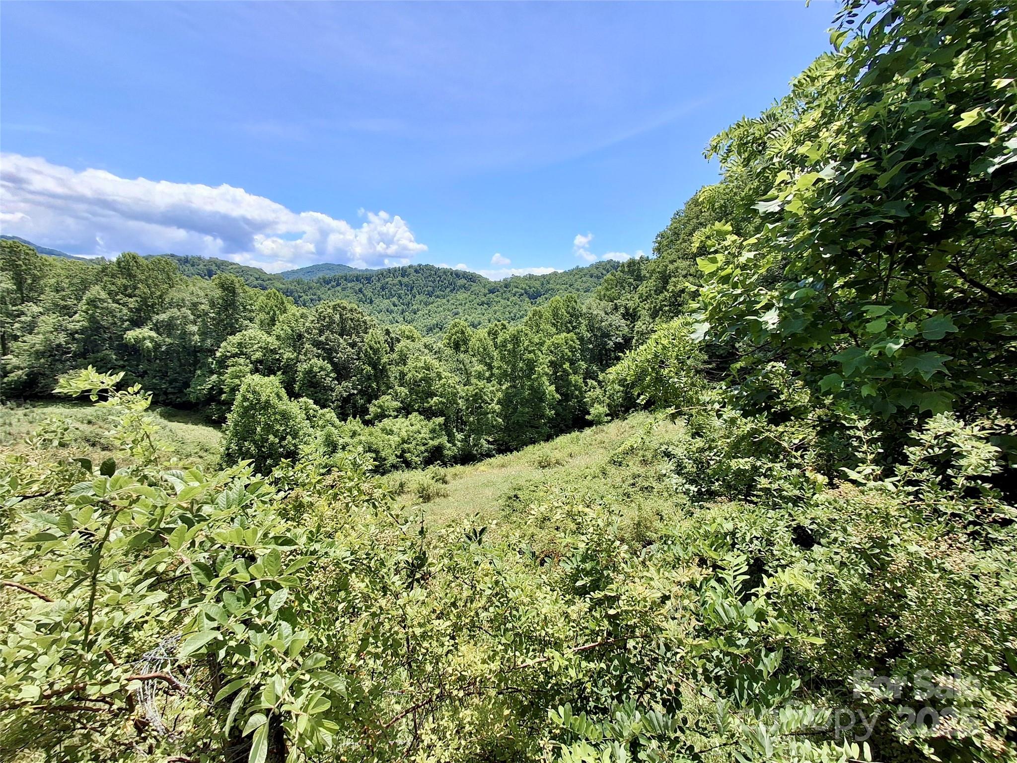 2087 Henry Road — Sylva