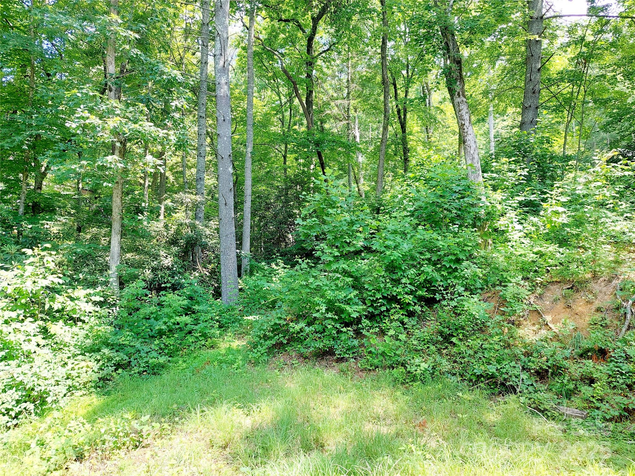 93 Badger Run — Hendersonville