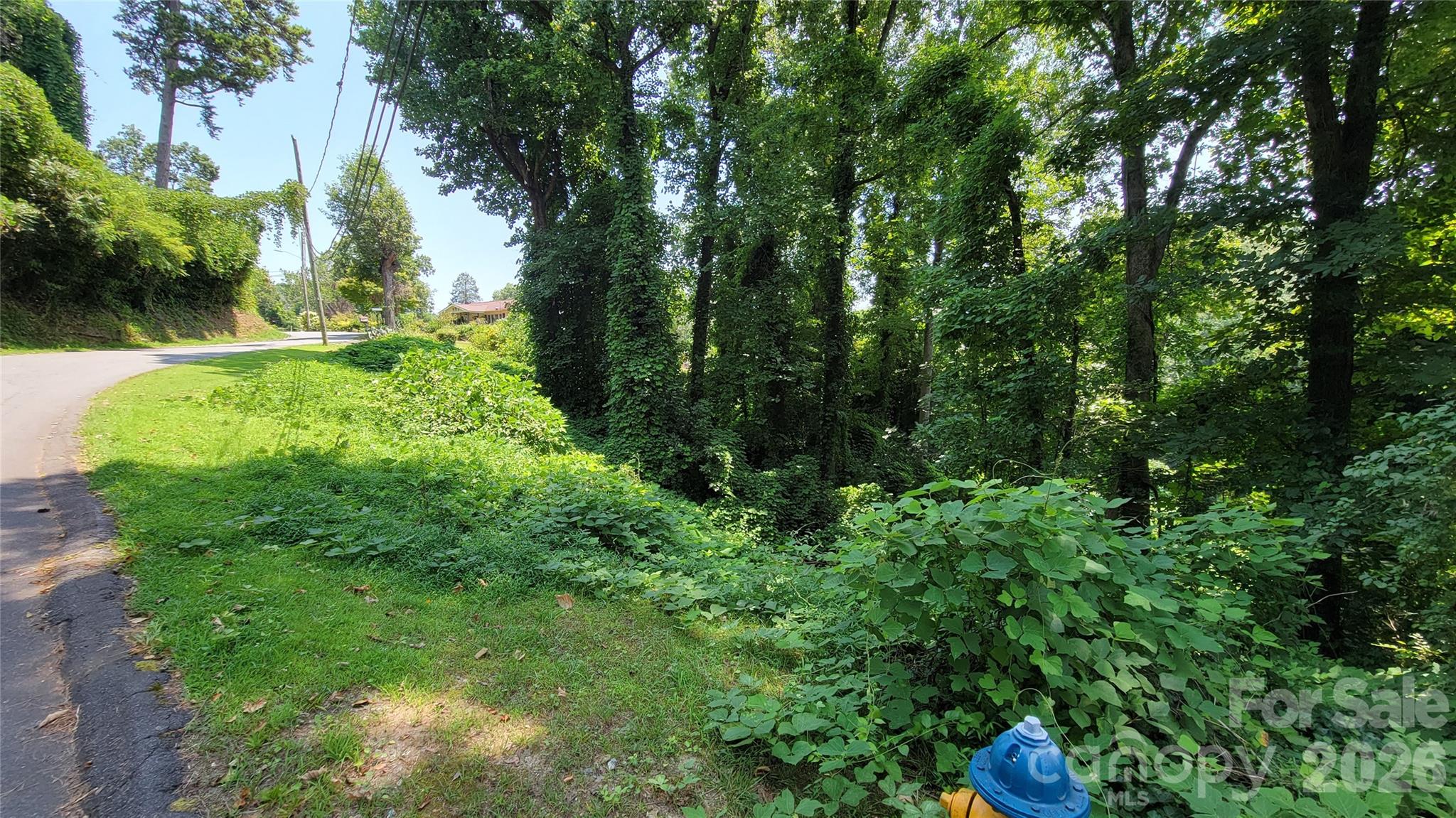 160 Cleveland Road — Tryon