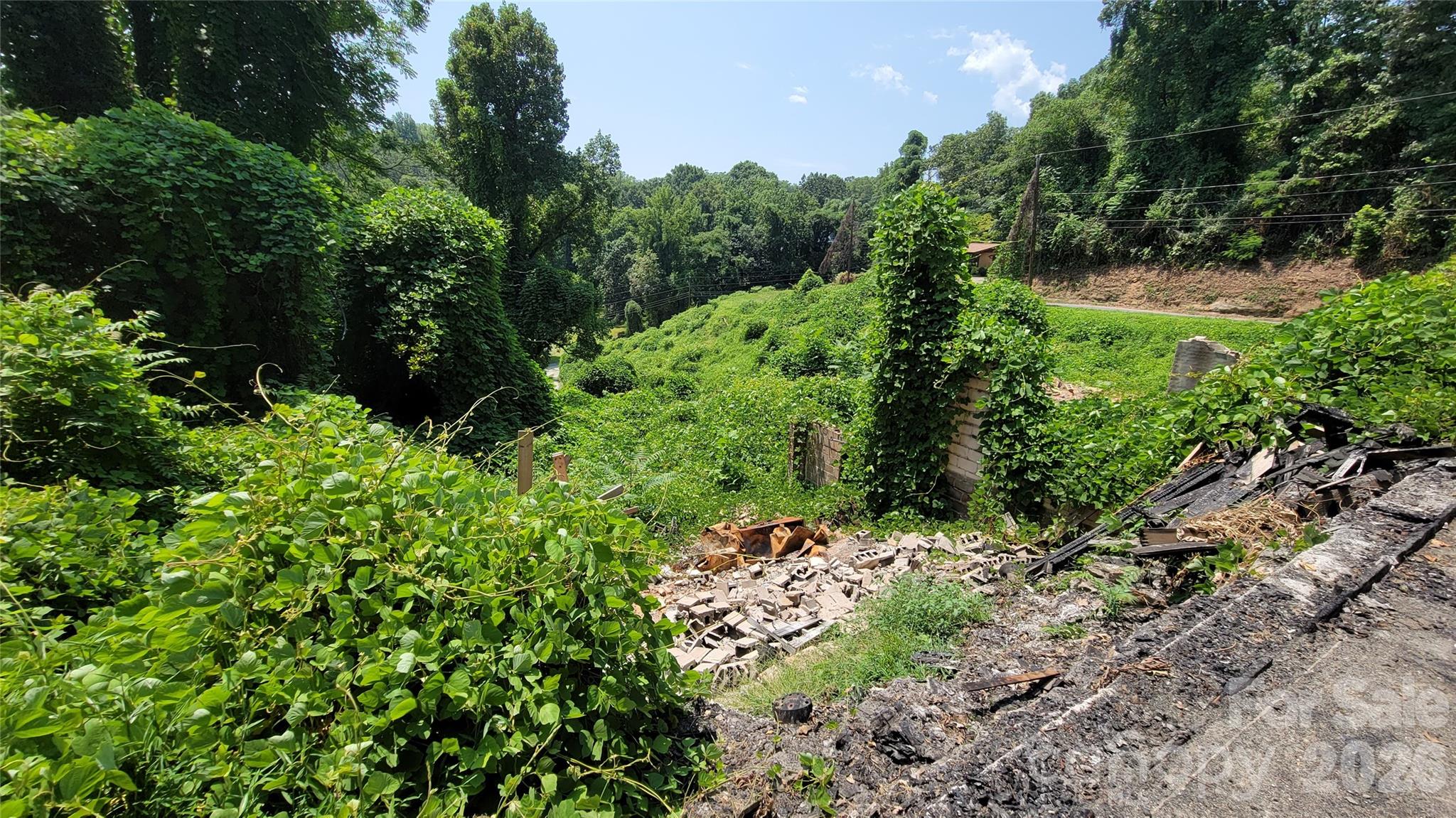 160 Cleveland Road — Tryon