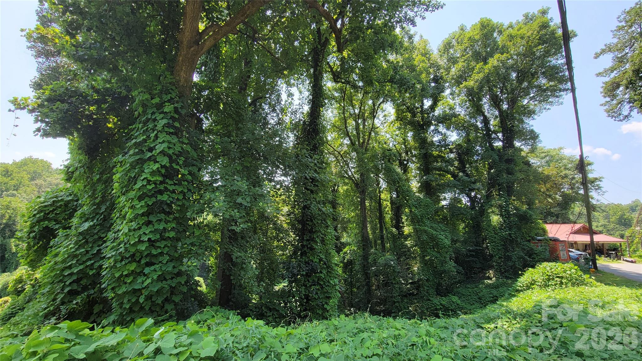 160 Cleveland Road — Tryon
