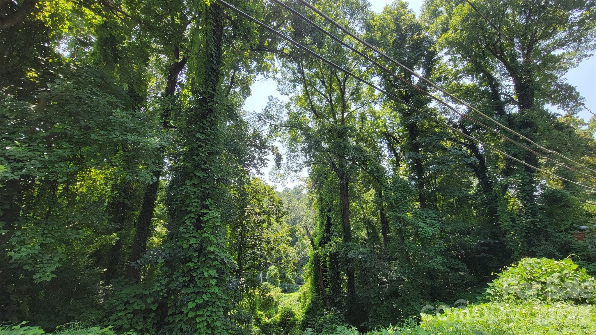 160 Cleveland Road — Tryon