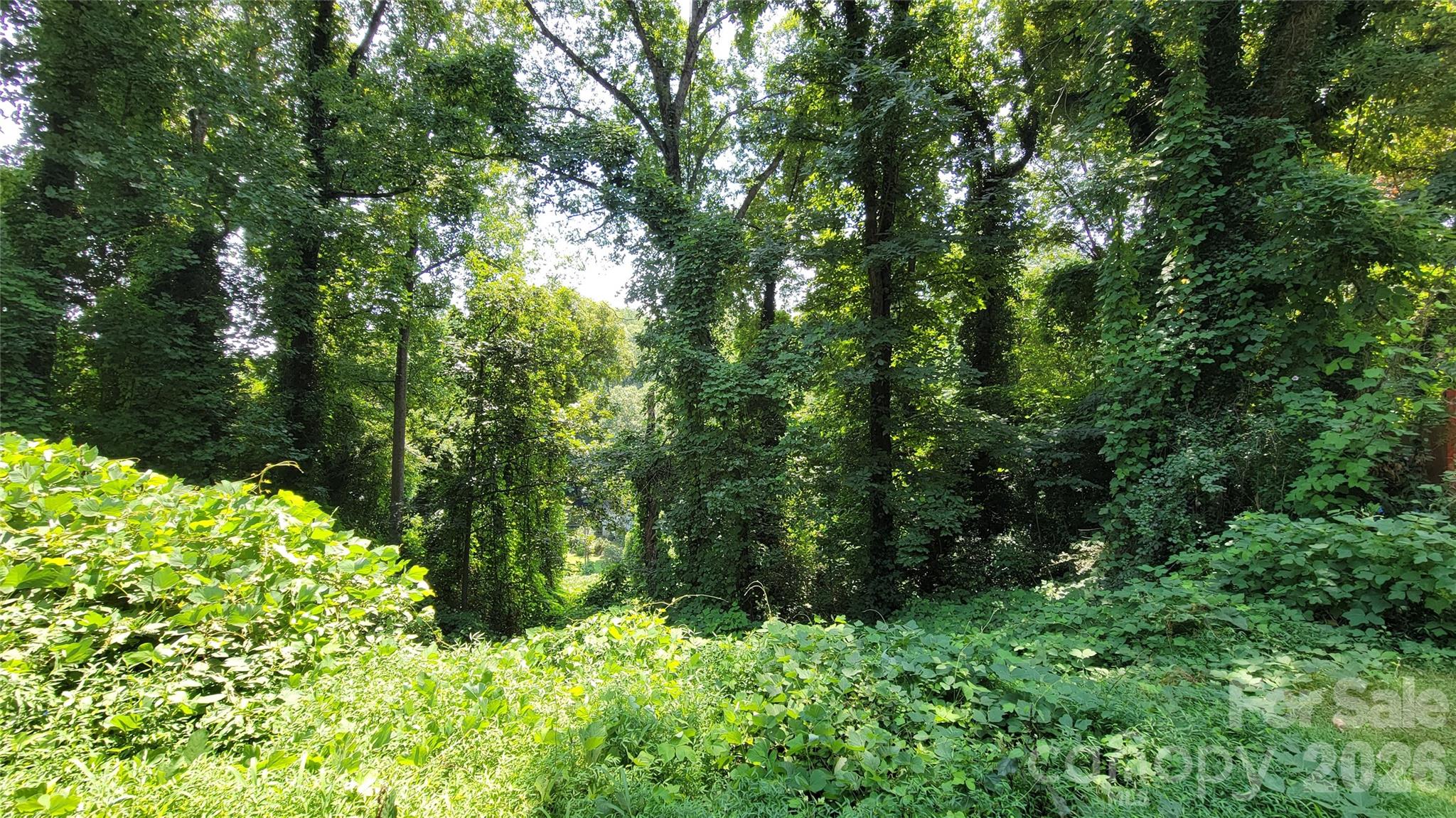 160 Cleveland Road — Tryon