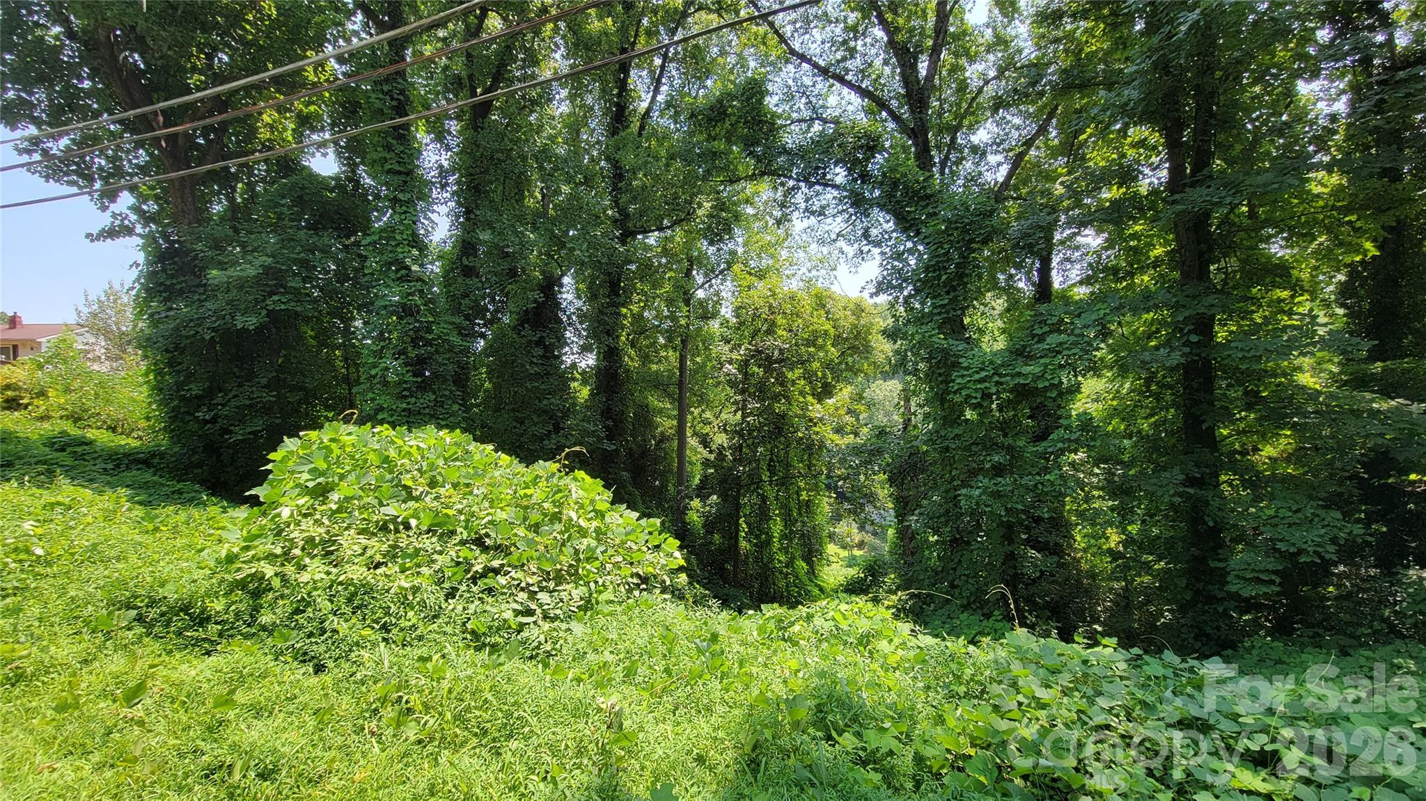 160 Cleveland Road — Tryon
