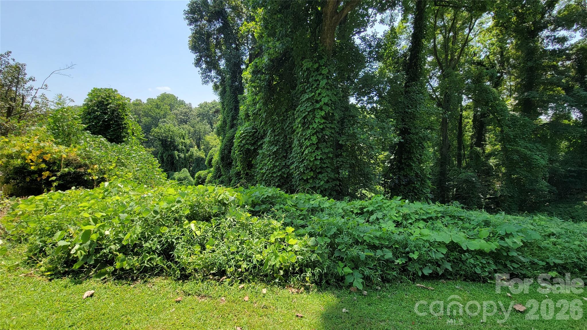 160 Cleveland Road — Tryon