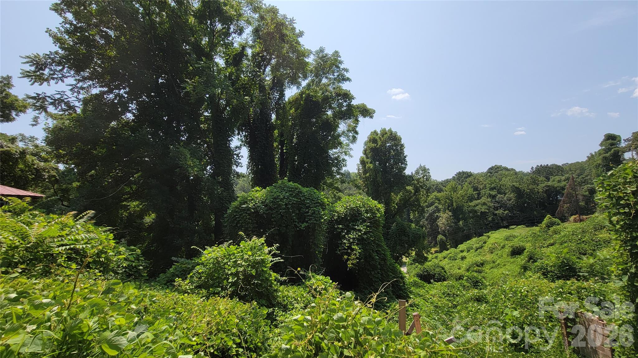 160 Cleveland Road — Tryon