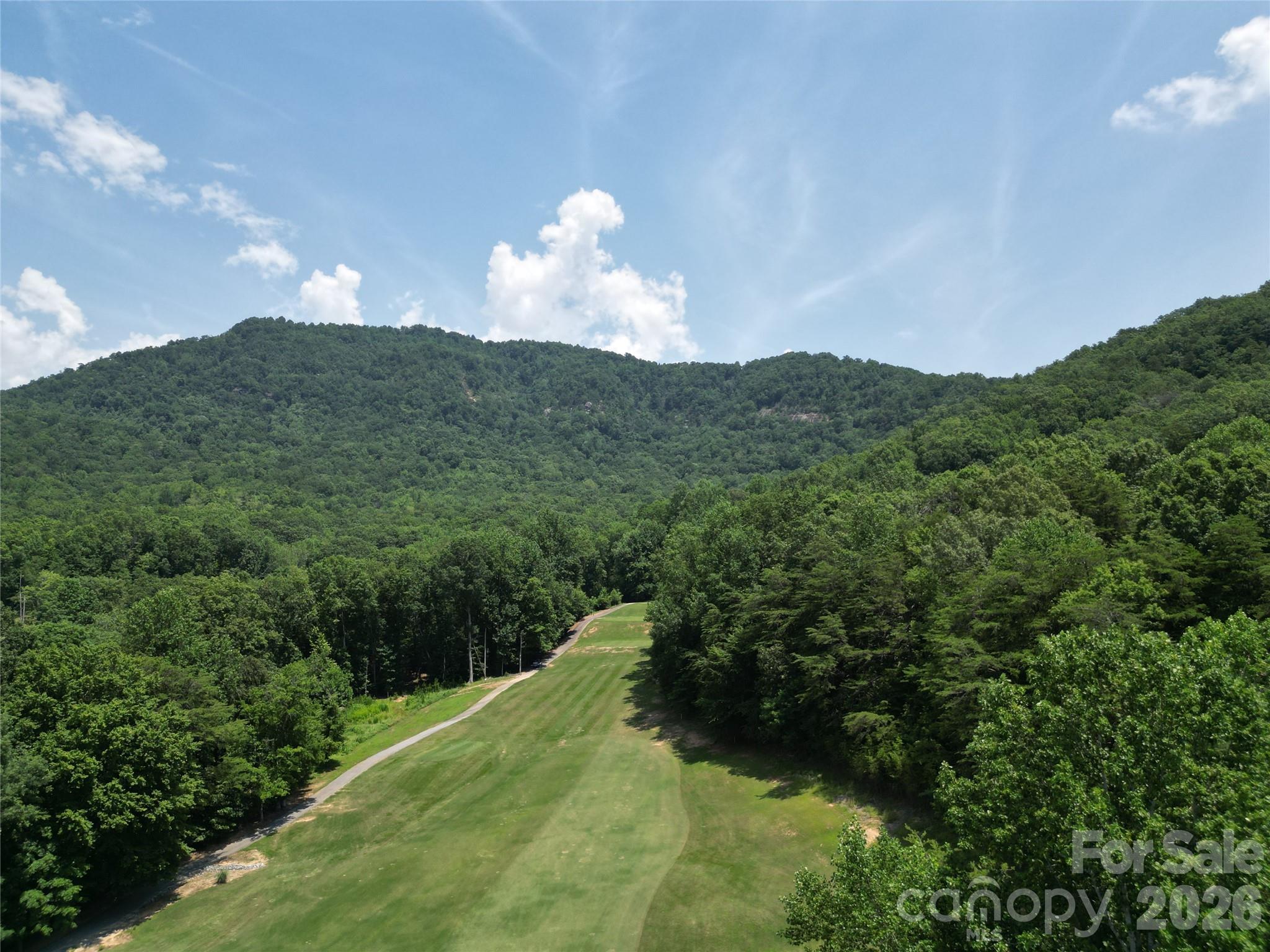 141 Courtland Court — Lake Lure