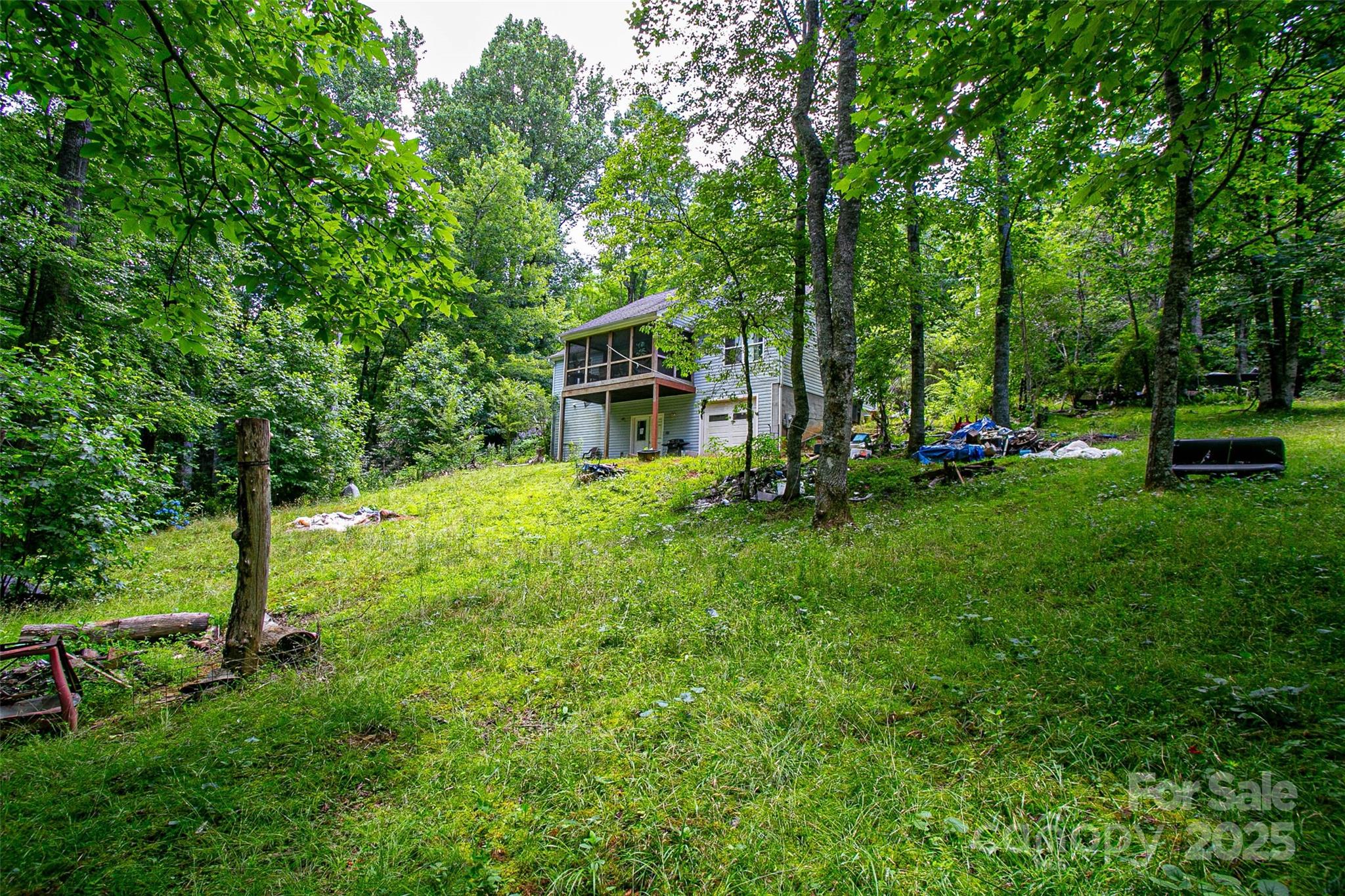 164 Horseplay Lane — Lake Toxaway