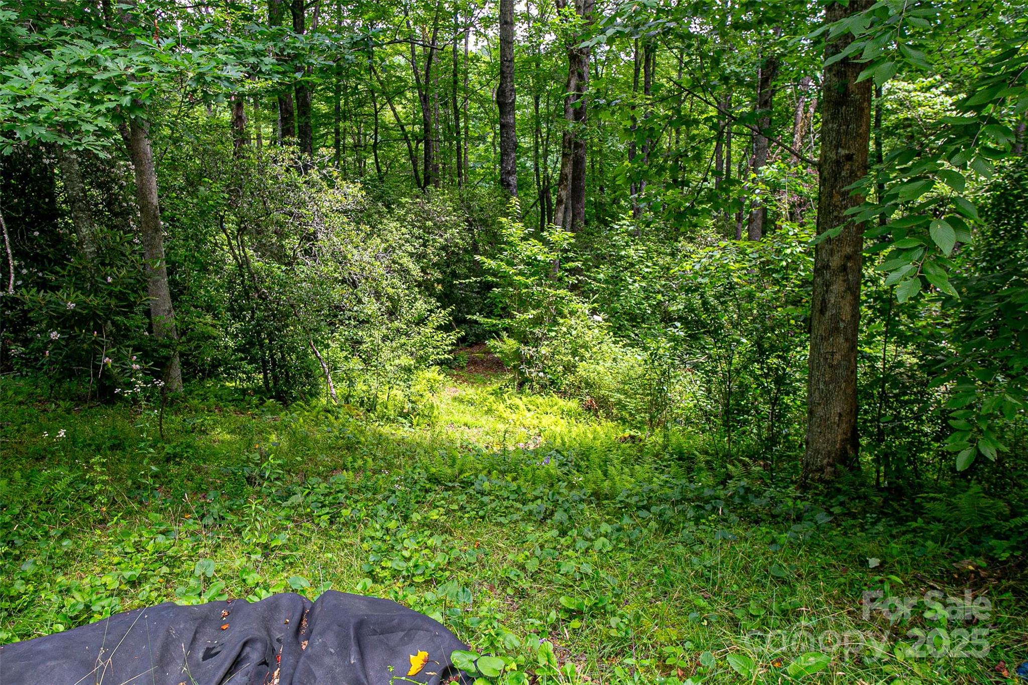 164 Horseplay Lane — Lake Toxaway
