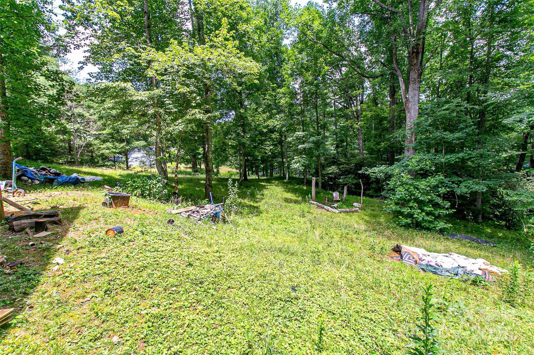 164 Horseplay Lane — Lake Toxaway