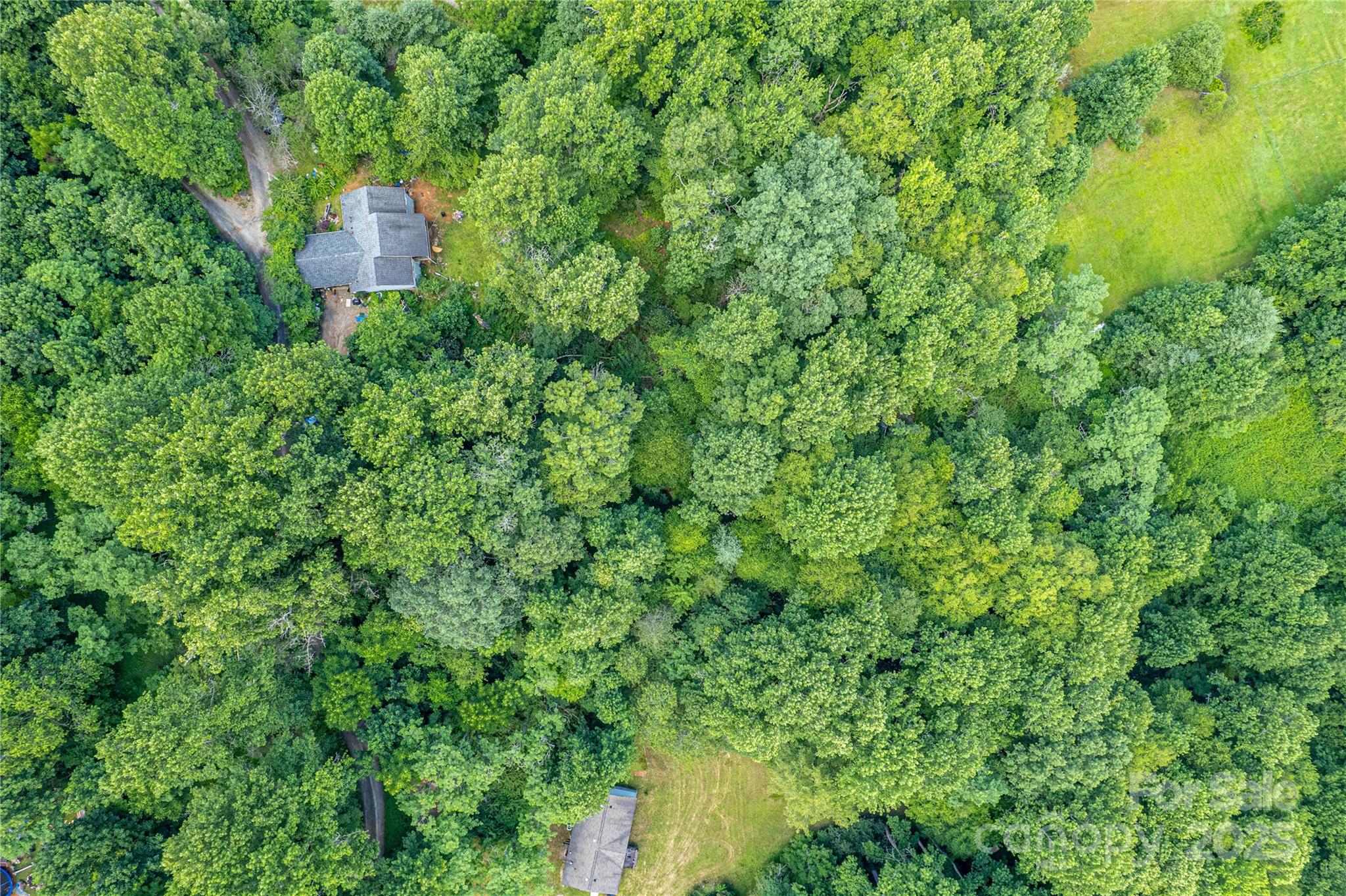 164 Horseplay Lane — Lake Toxaway