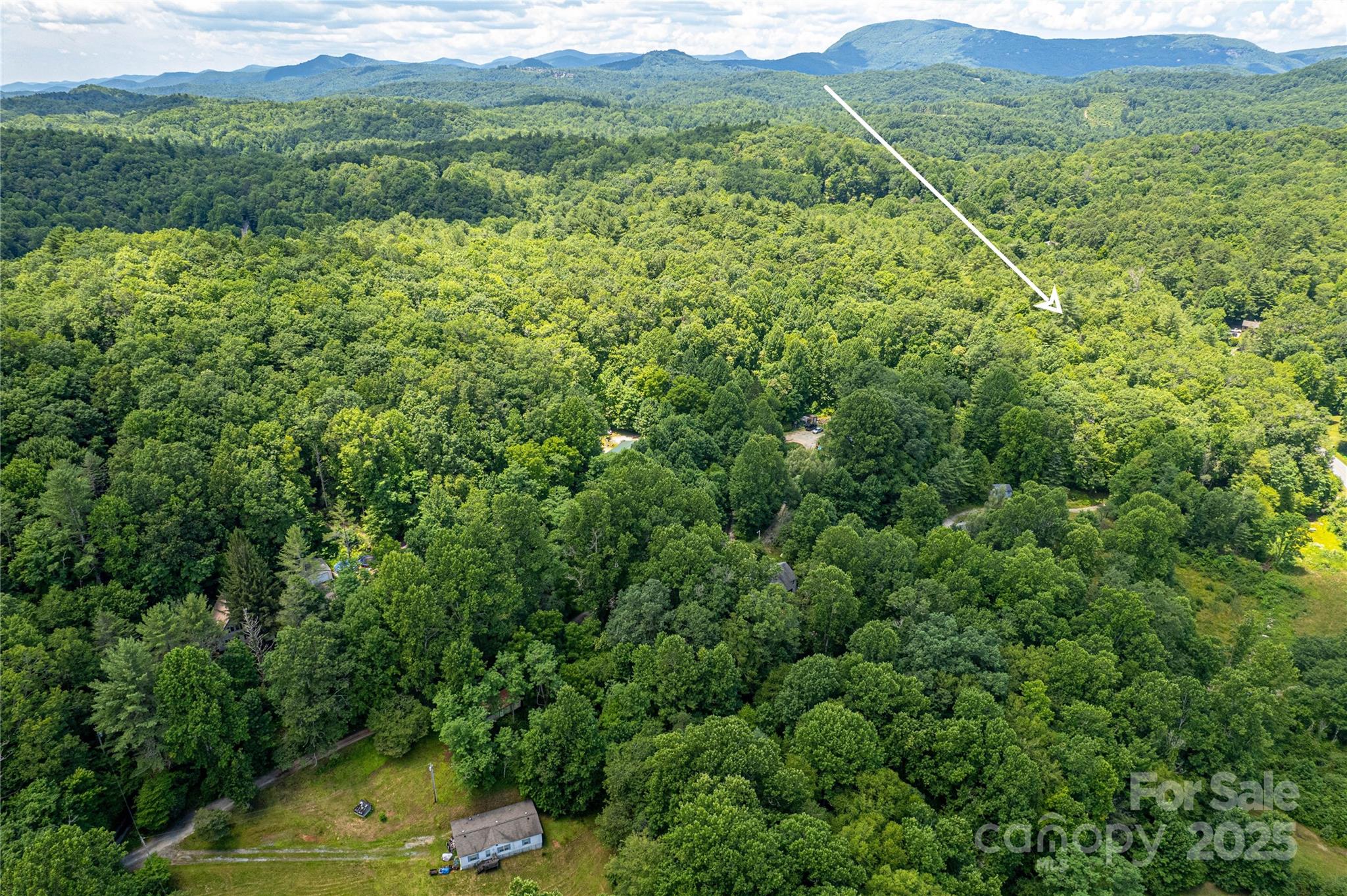 164 Horseplay Lane — Lake Toxaway