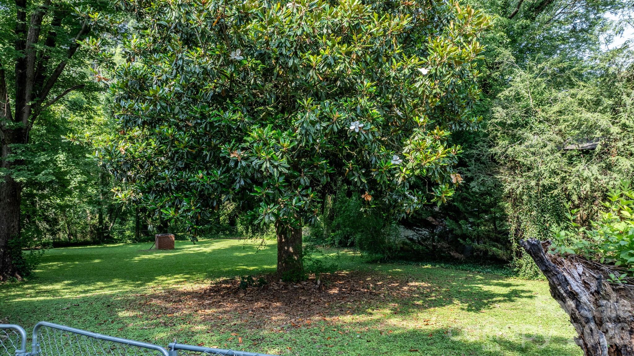 313 E Main Street — Morganton