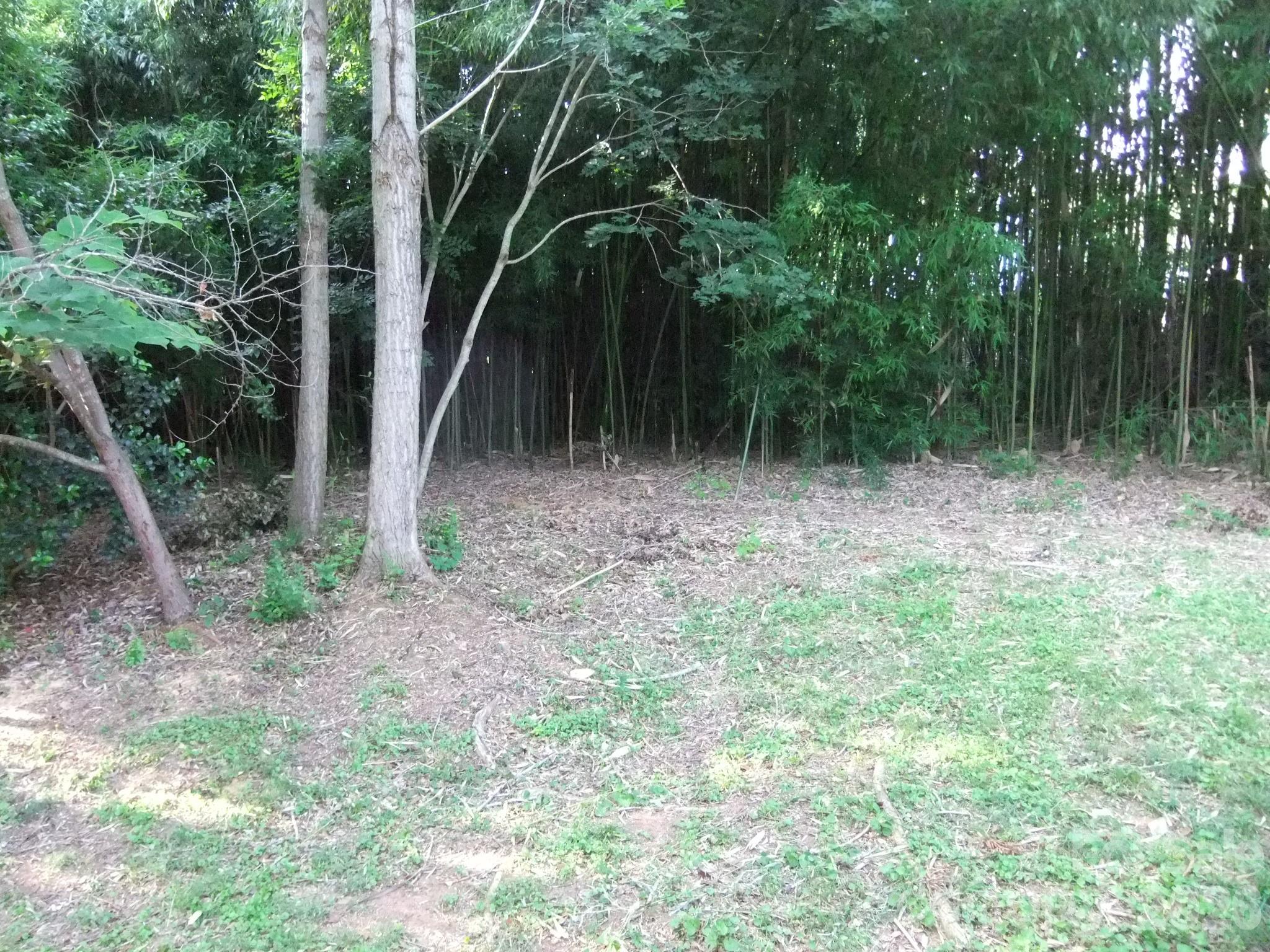 1629 and 1631 Harris Road — Fort Mill
