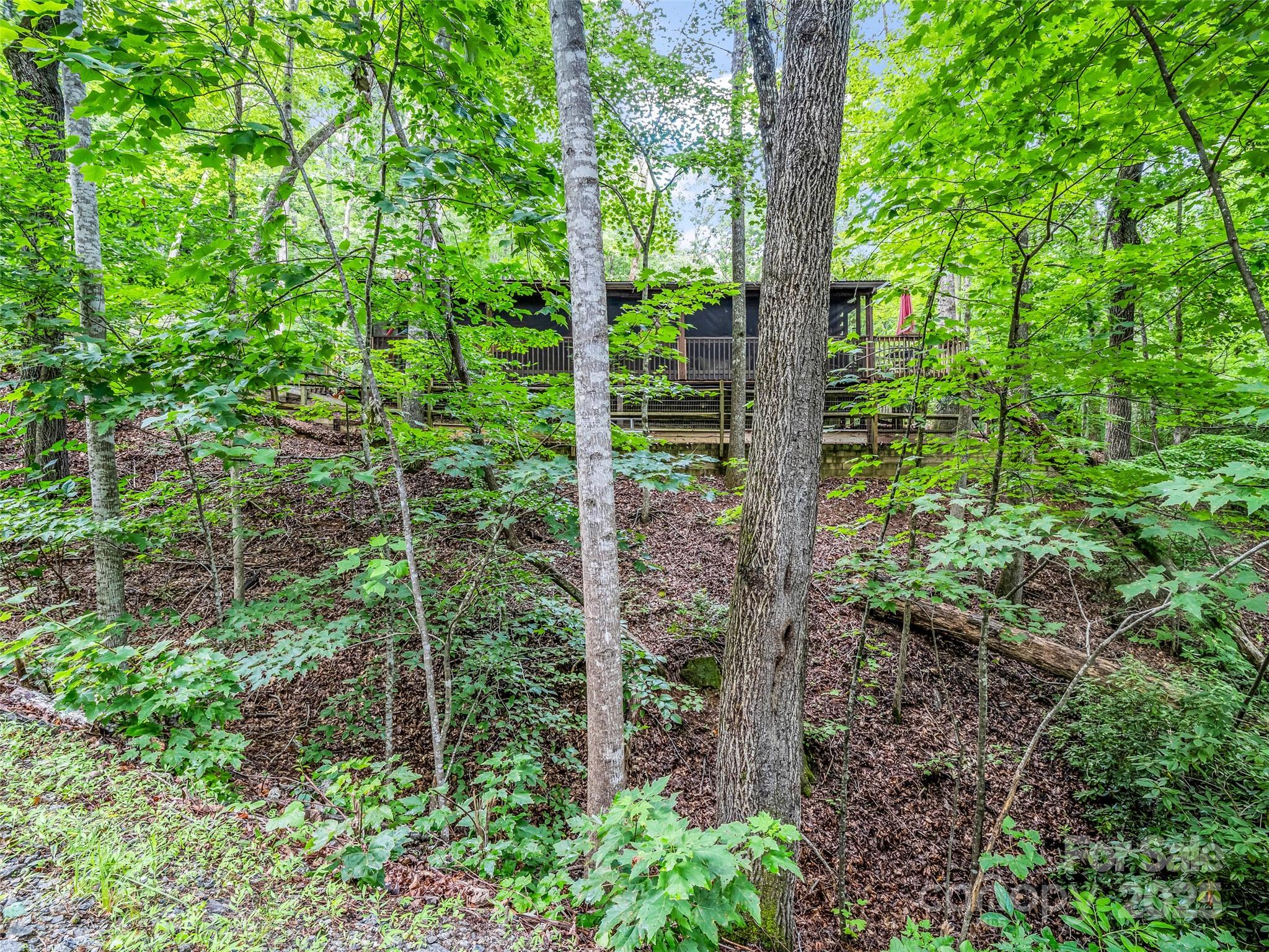 116 Chalet Road — Lake Lure