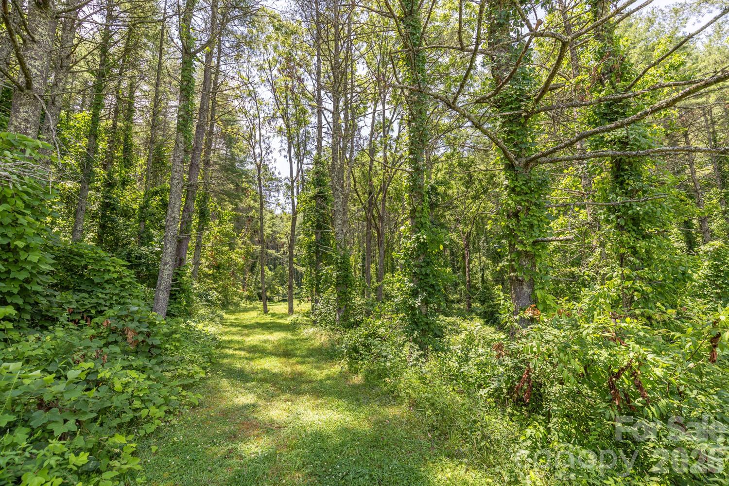 160 Mclean Road — Weaverville