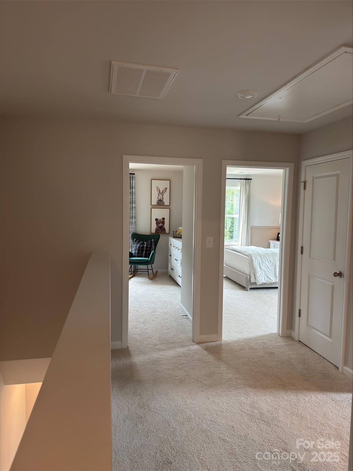 4537 Green Drake Drive — Charlotte