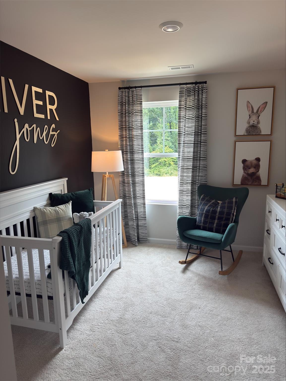 4537 Green Drake Drive — Charlotte