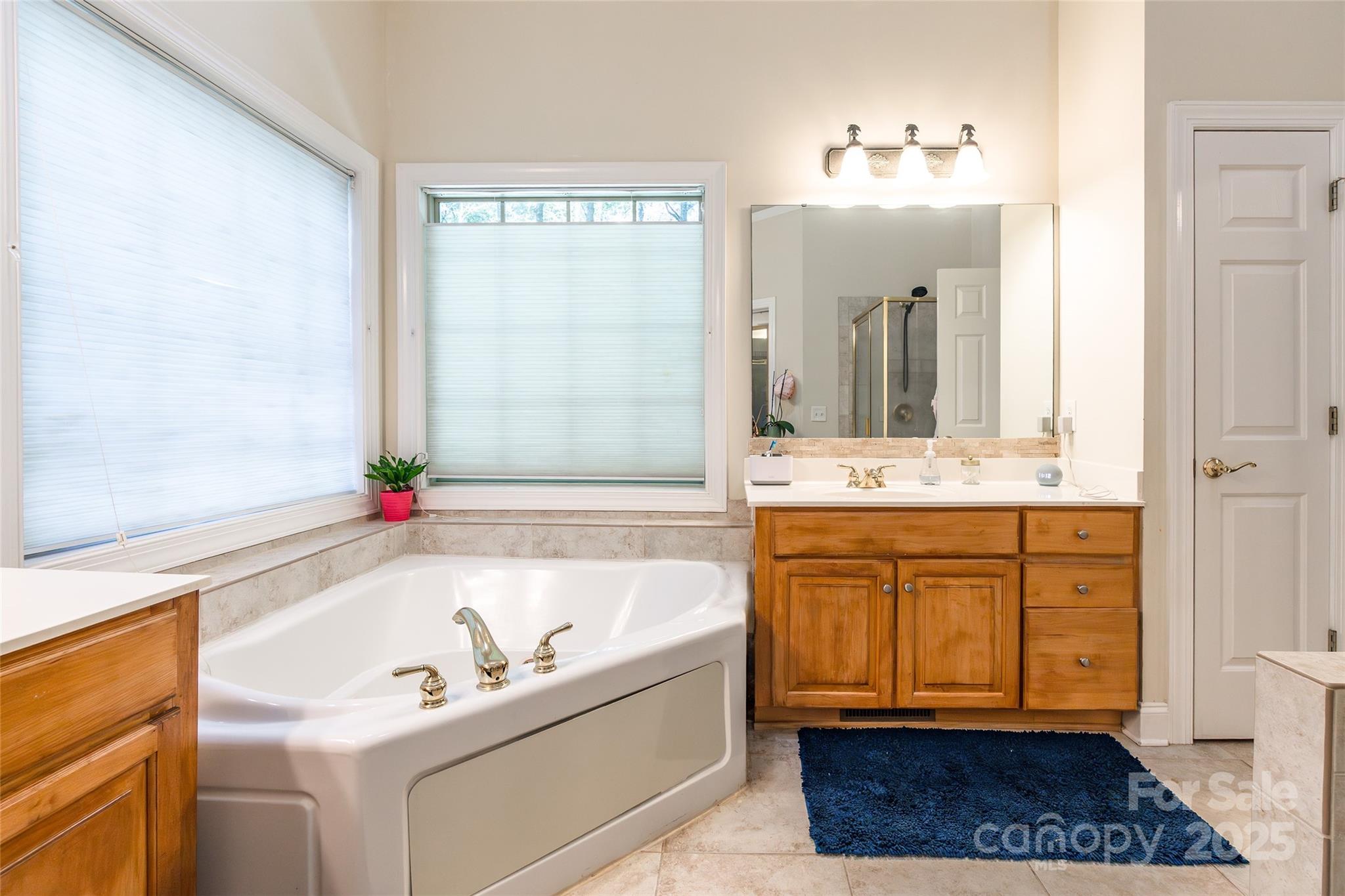 1227 Cabin Creek Court — Fort Mill