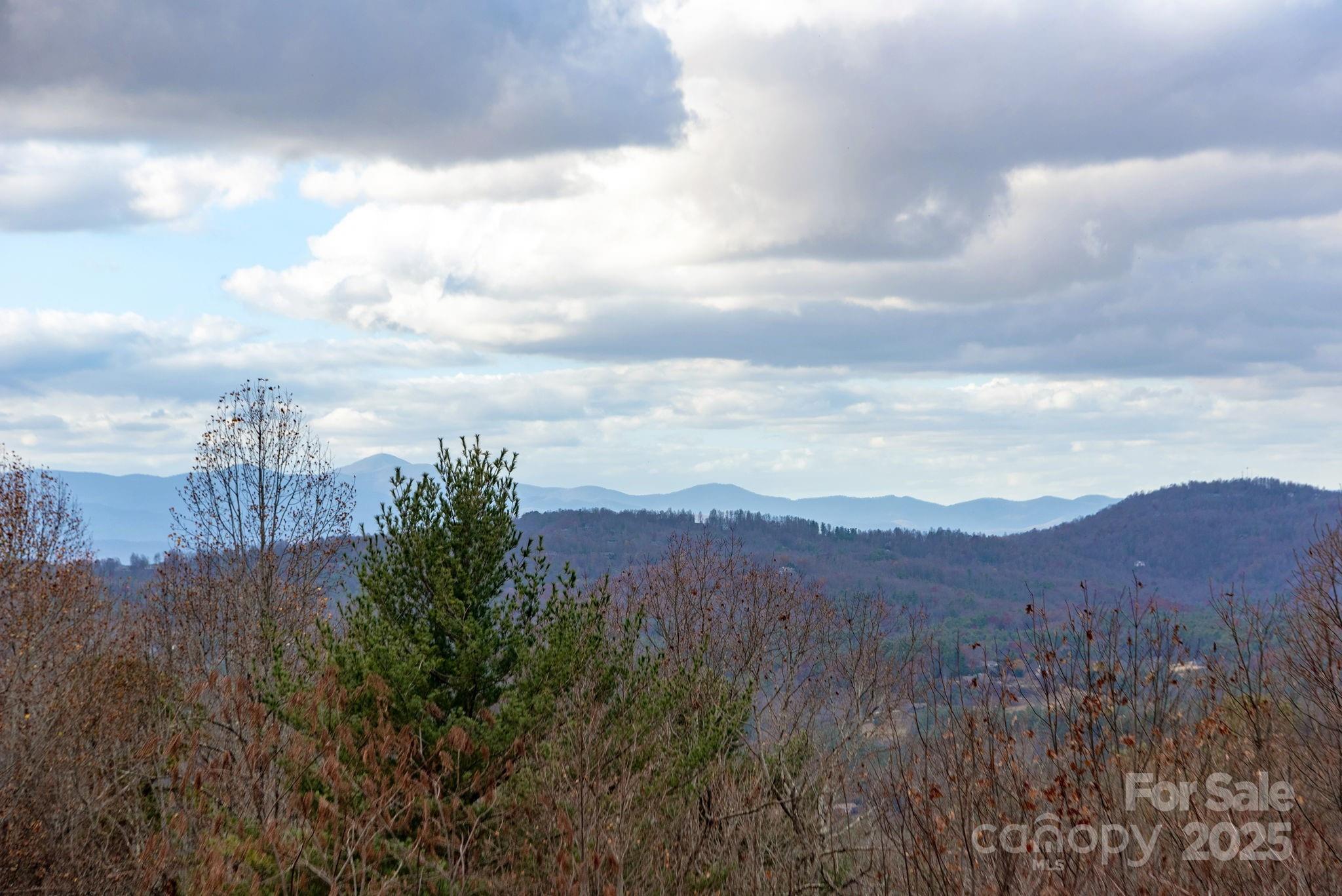 135 POPLAR Loop — Flat Rock